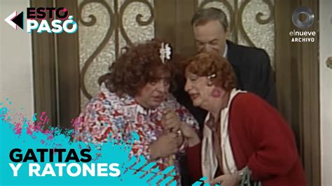 las gatitas|Las gatitas y ratones de Porcel (TV Series) (1987).